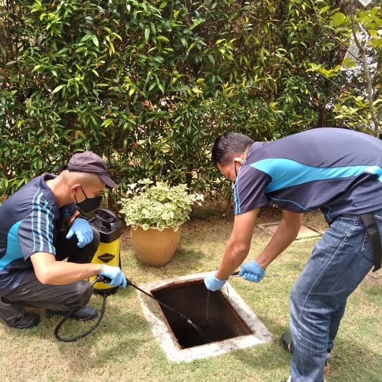 Uni Smart Pest Control — pest control service Uni Smart Pest Control — pest control service